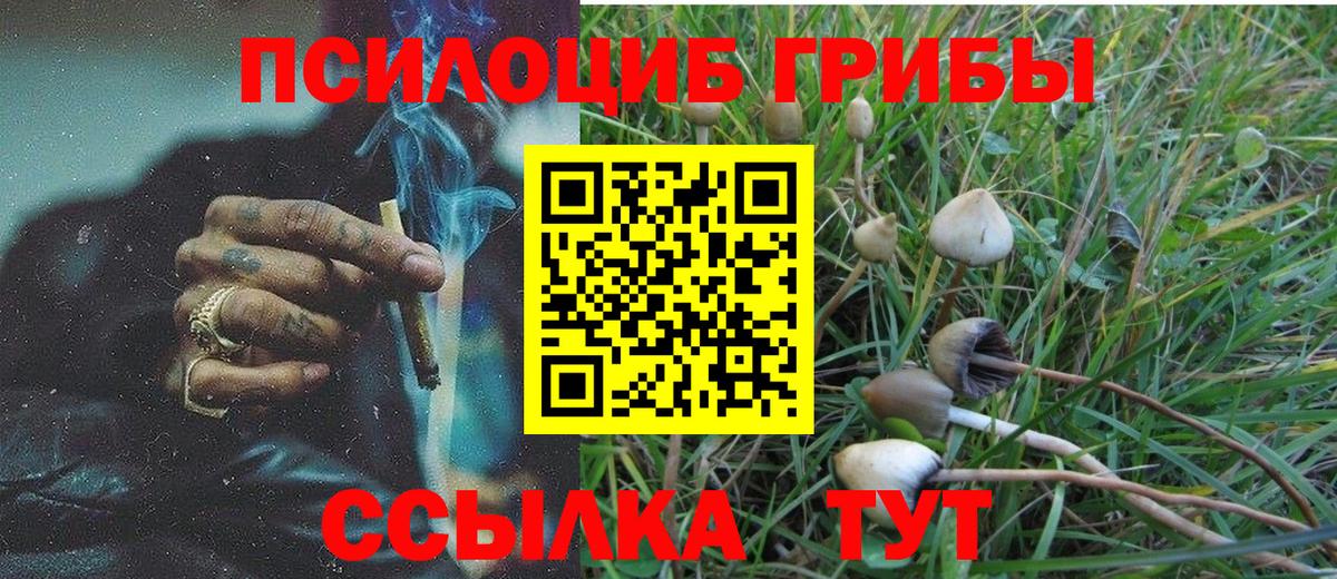 Псилоцибиновые грибы ЛСД Сергиев Посад