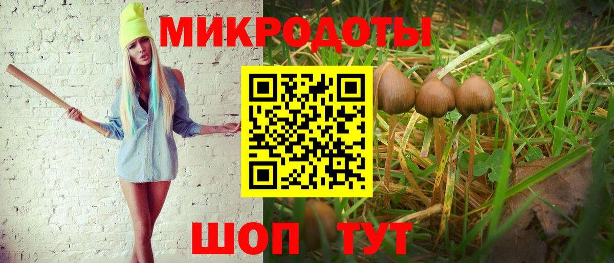 Сергиев Посад  Псилоцибиновые грибы ЛСД  Вход с VPN 